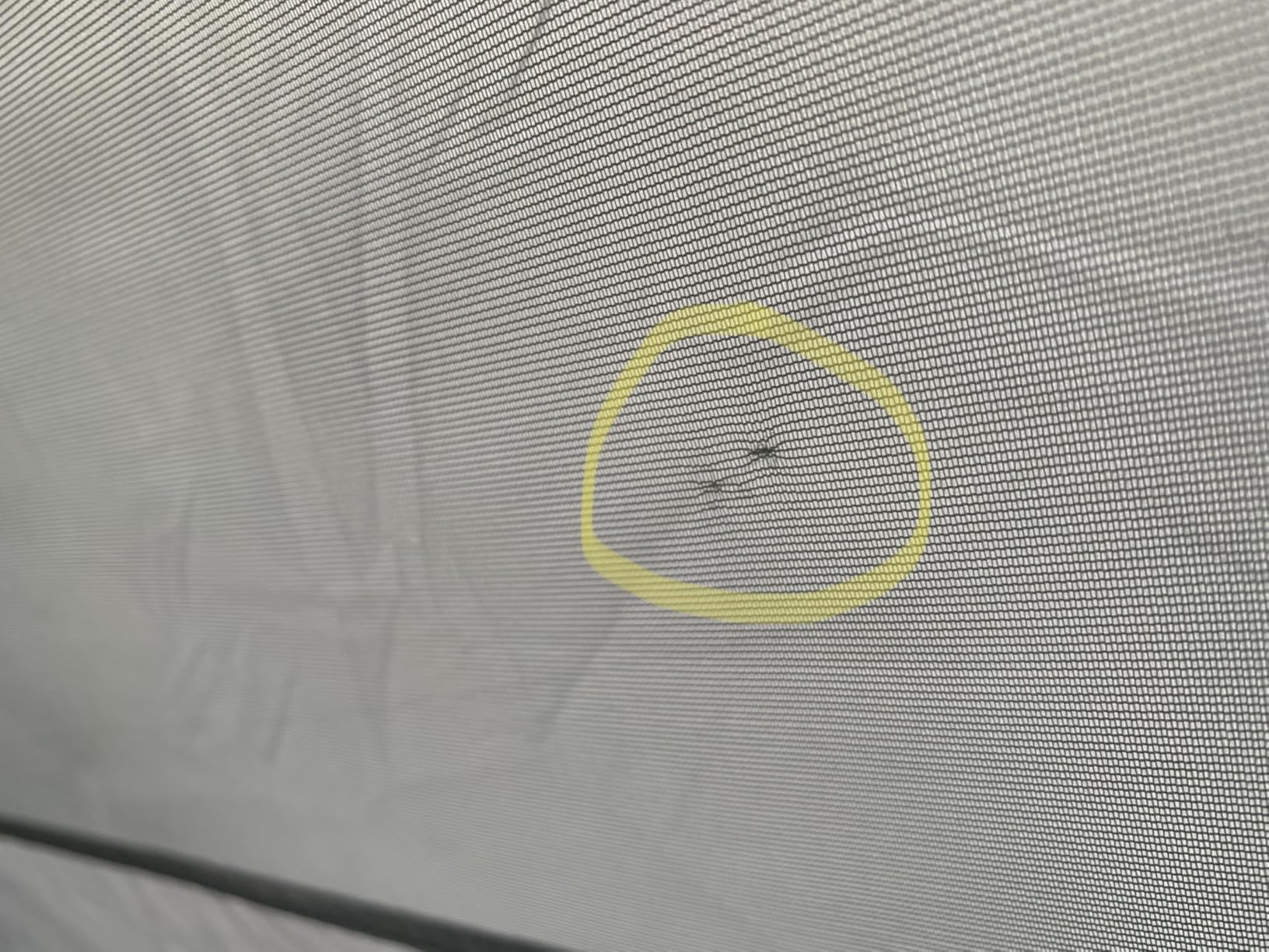 ALPS Mountaineering Backpacking-Tents Lynx 1 - Customer Photo 3