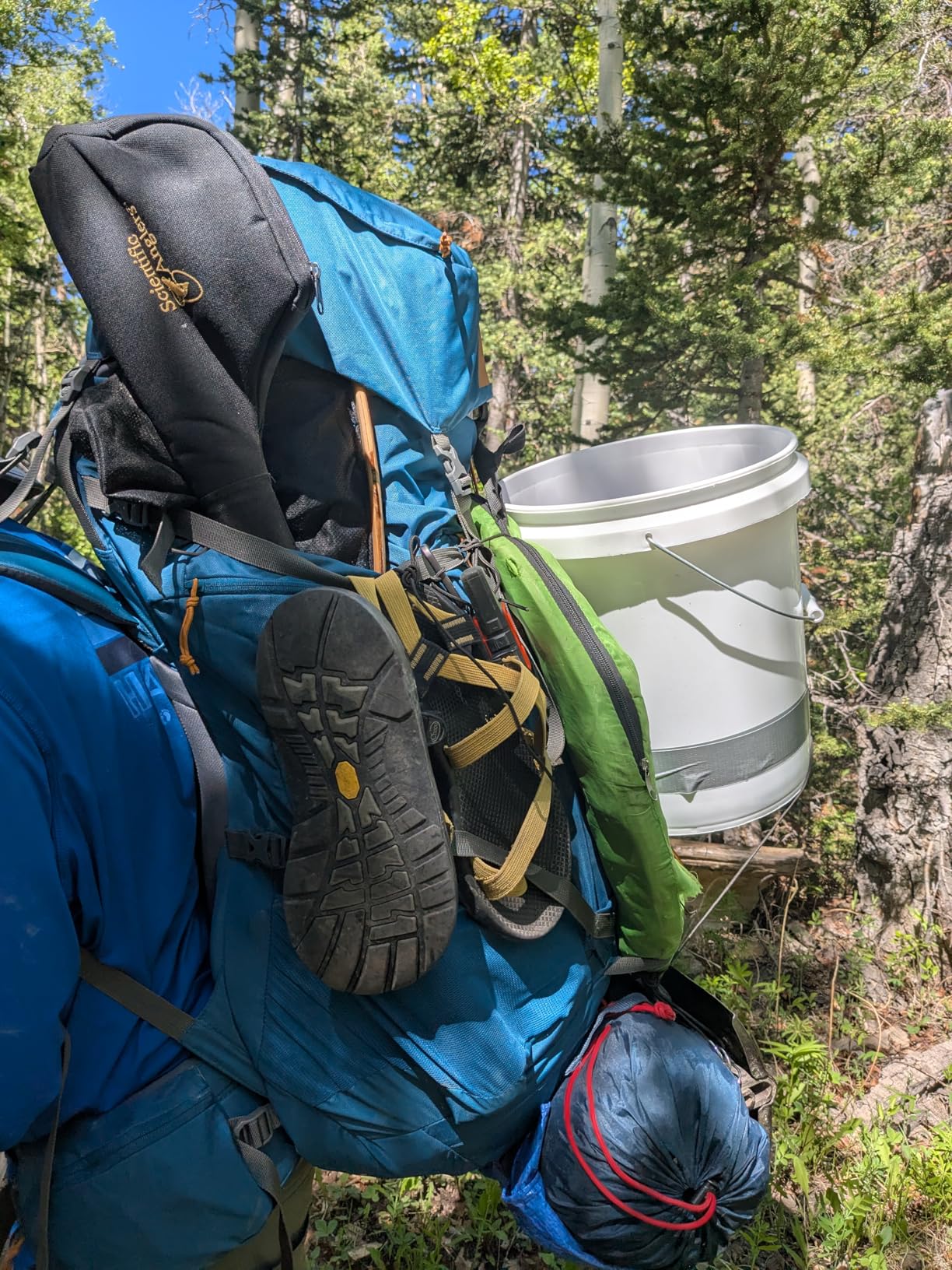 Kelty Coyote 60-105 Liter Internal Frame Backpack - Hiking, Backpacking, Travel, Hydration Compatible, Fully Adjustable (65L / Dark Olive) - Customer Photo 2