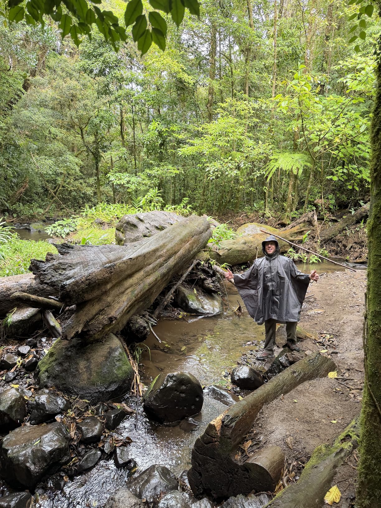 SaphiRose Unisex Rain Poncho Waterproof Raincoat Hooded for Adults Women with Pockets - Customer Photo 2