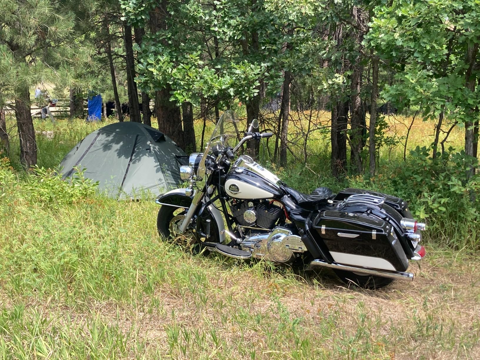 Forceatt Camping Tent 2/3/4 Person, Professional Waterproof & Windproof Lightweight Backpacking Tent Suitable for Outdoor,Hiking,Camping, Mountaineering and Travel - Customer Photo 2