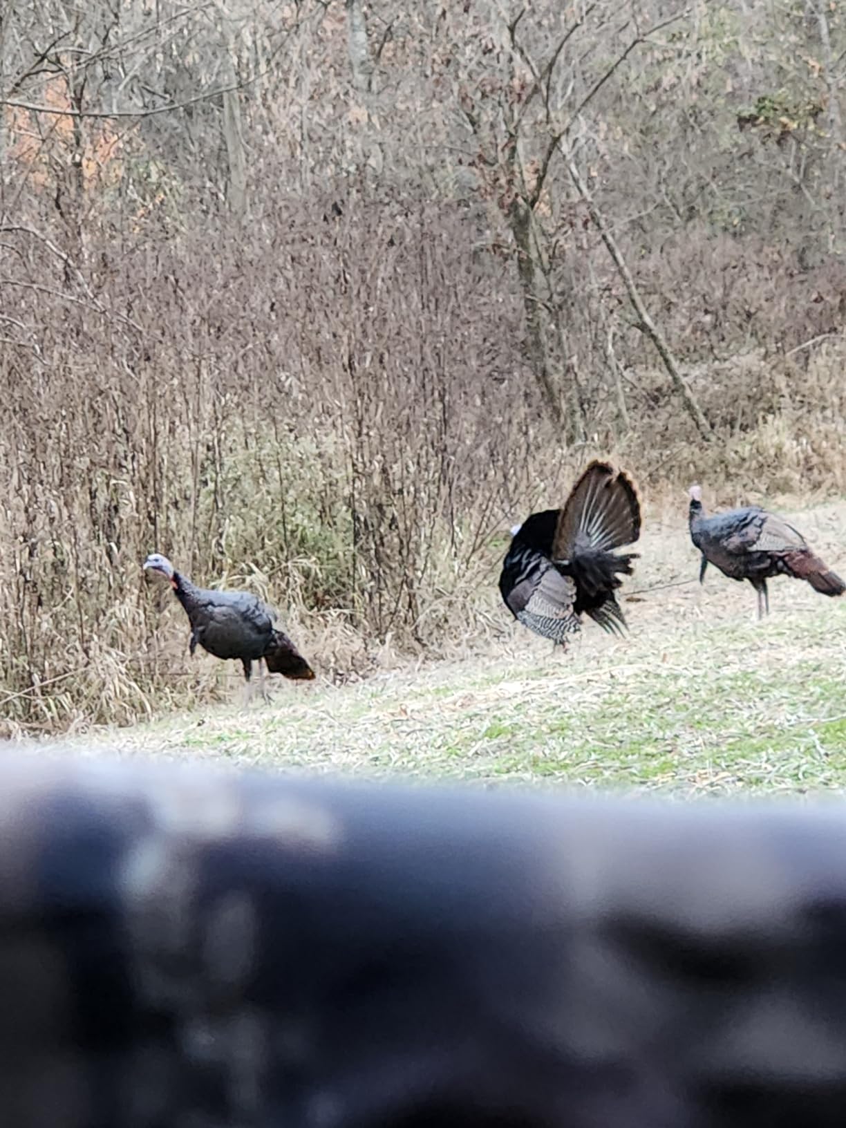 Ameristep Doghouse Run & Gun Hunting Blind | Lightweight 2 Person Ground Blind in Mossy Oak Break-Up Country, One Size - Customer Photo 3