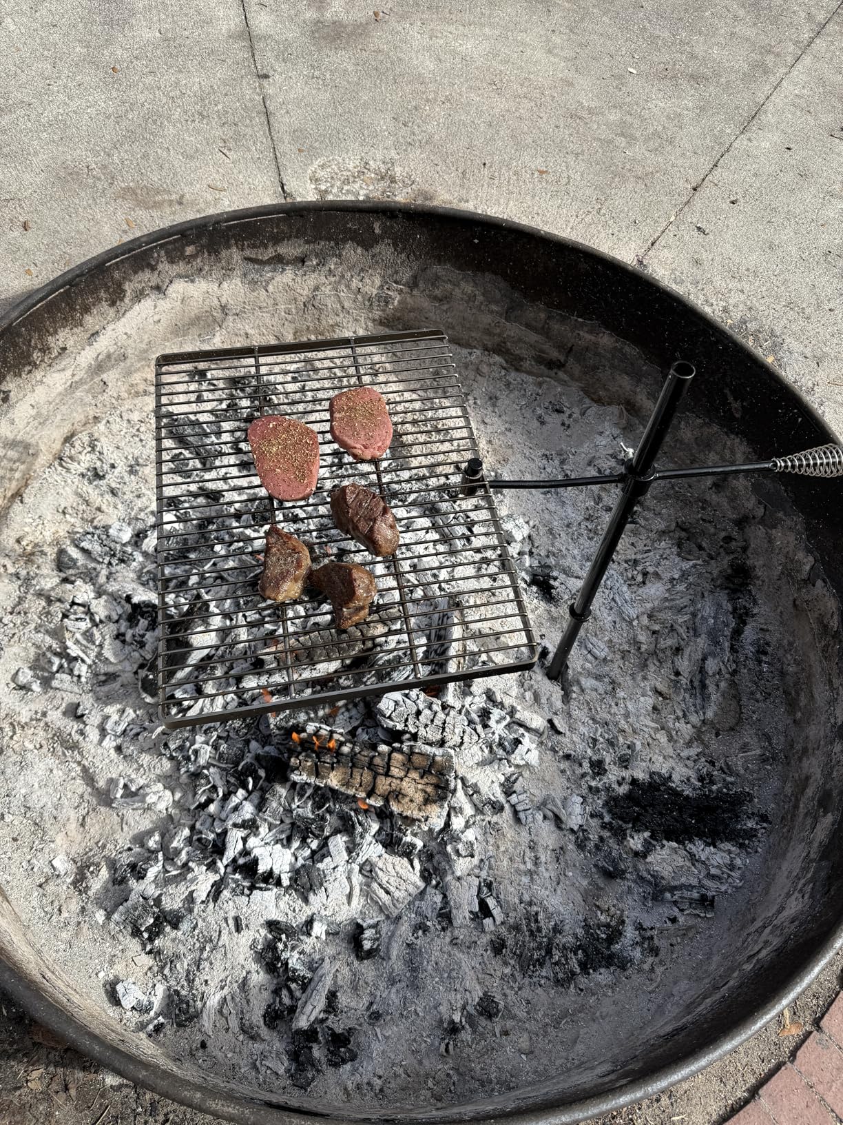 REDCAMP Swivel Campfire Grill Heavy Duty Steel Grate, Over Fire Camp Grill with Carrying Bag for Outdoor Open Flame Cooking - Customer Photo 1