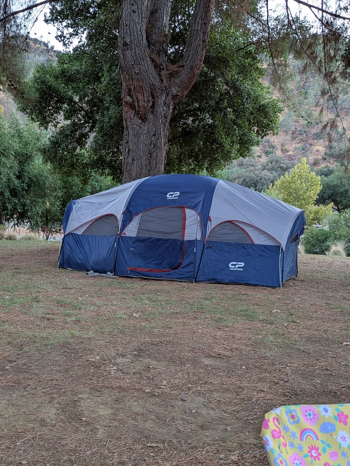 CAMPROS CP Tent 8 Person Camping Tents, Weather Resistant Family Tent, 5 Large Mesh Windows, Double Layer, Divided Curtain for Separated Room, Portable with Carry Bag - Customer Photo 2