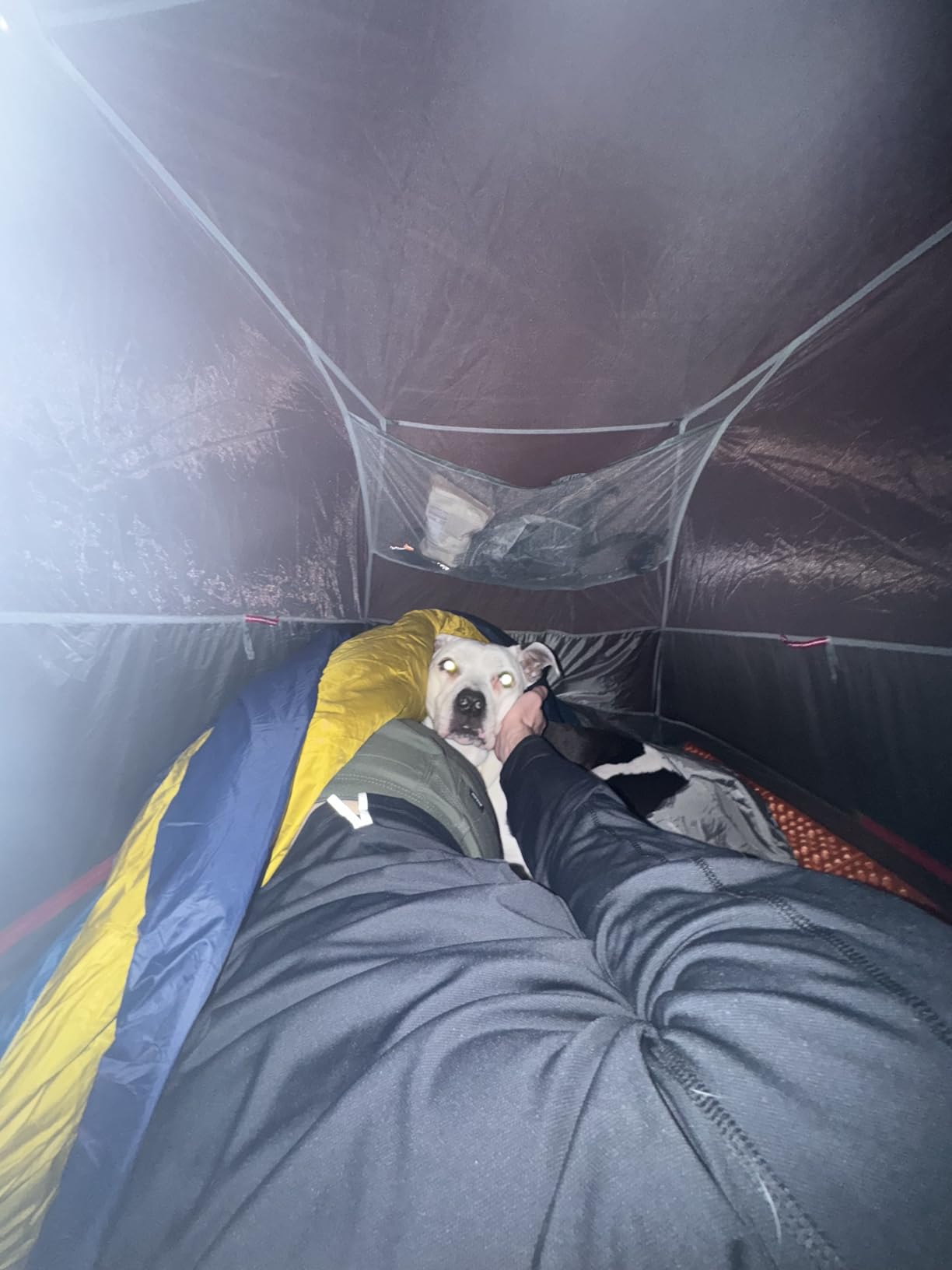 Kelty Cosmic 20 Down Mummy Sleeping Bag for Backpacking, Campers, 550 Fill Power, Recycled Fabrics with PFAS-Free DWR, Designed in Sunny Colorado - Customer Photo 5