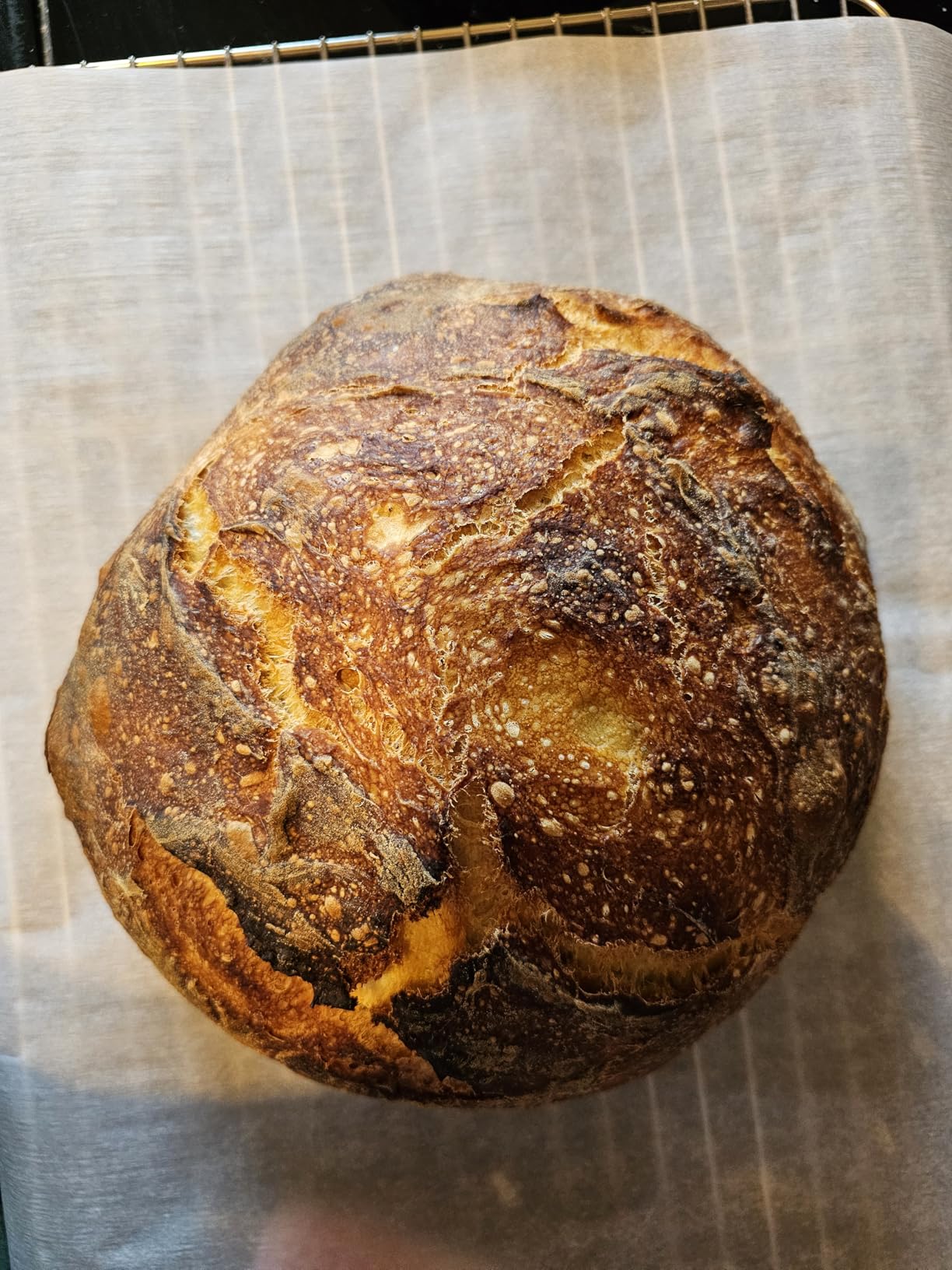 2-in-1 Pre-Seasoned Cast Iron Dutch Oven Pot with Skillet Lid Set, 10