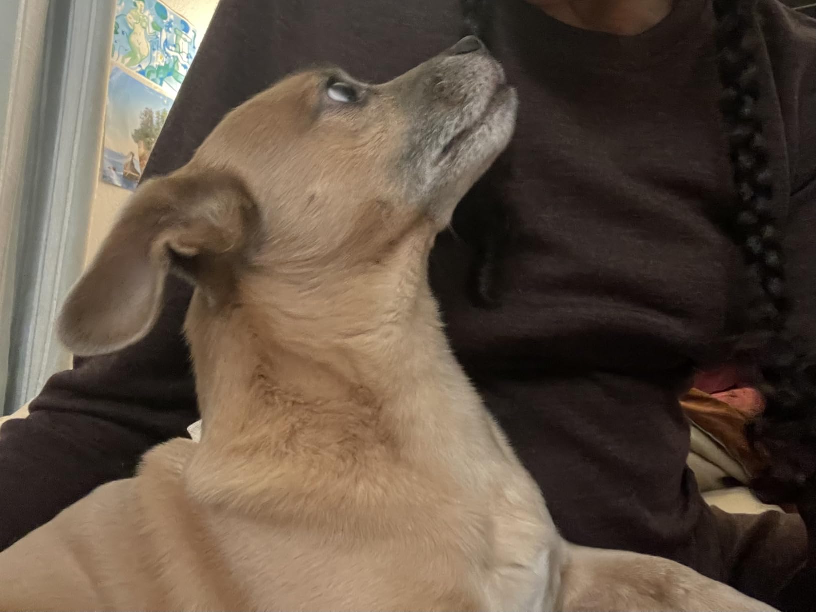 Merino Wool Base Layer Women Set - Heavyweight, Lite, Midweight Merino Thermal Underwear for Women Top, Bottom - Customer Photo 3