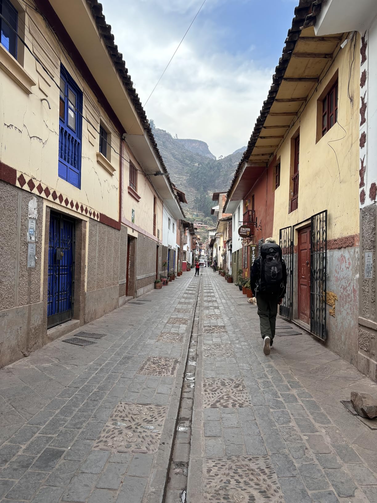 Osprey Atmos AG 65L Men's Backpacking Backpack, Mythical Green, L/XL - Customer Photo 4