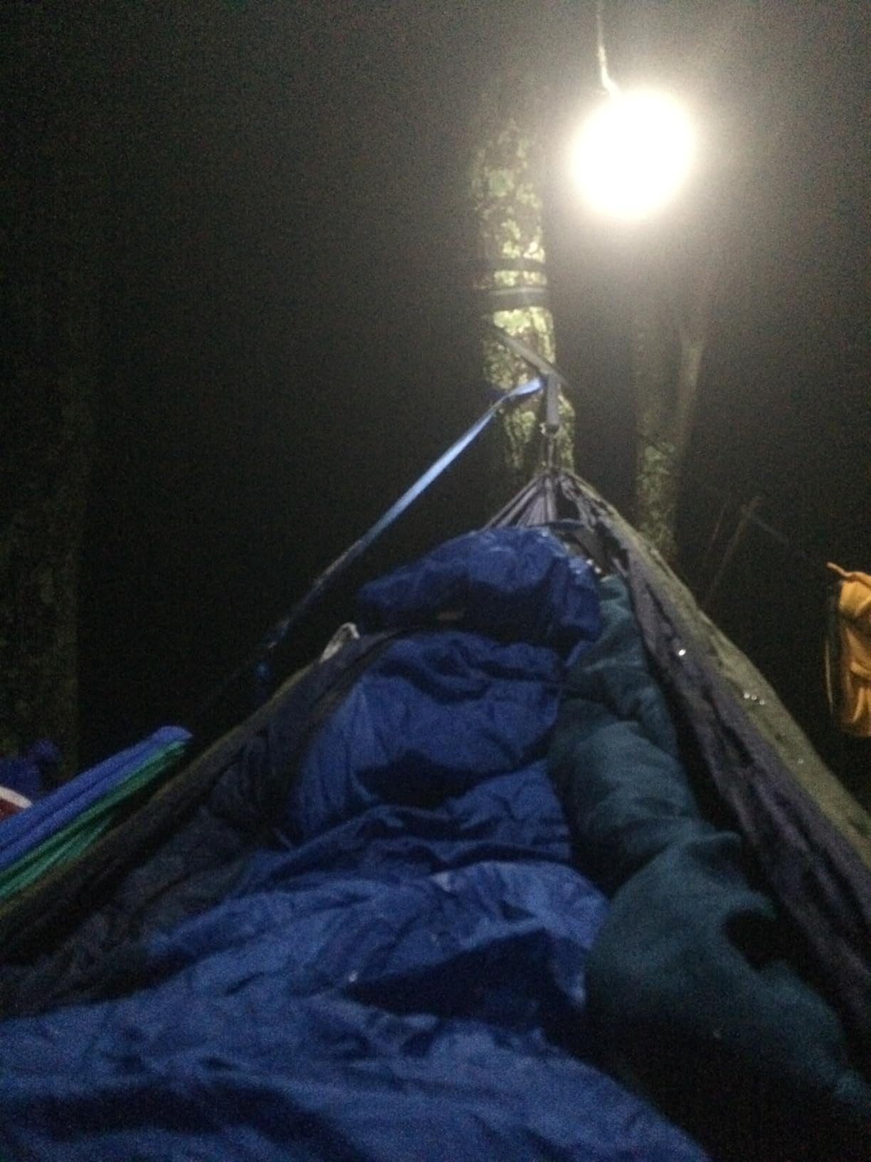 ENO, Eagles Nest Outfitters DoubleNest Lightweight Camping Hammock, 1 to 2 Person, Special Edition Colors, ATC - Customer Photo 1