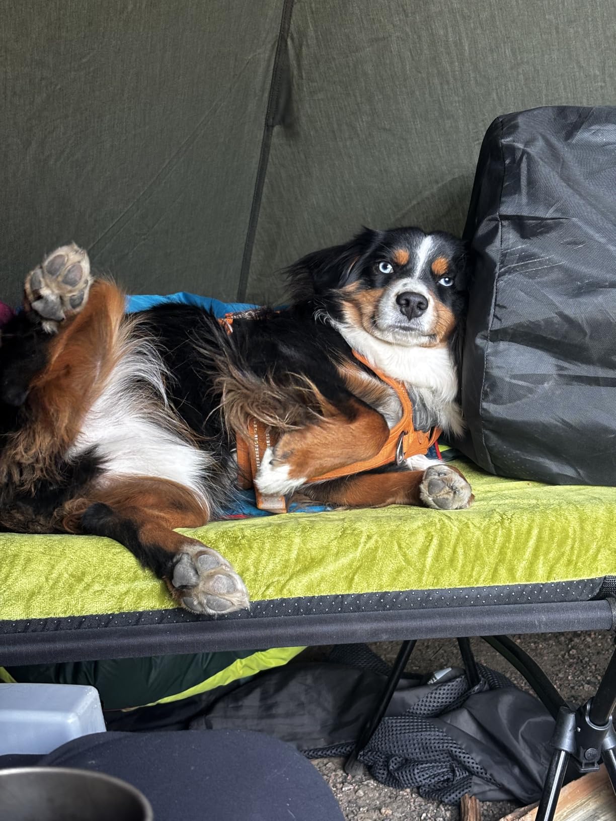 OneTigris Northgaze Canvas Hot Tent with Stove Jack, Windproof, Fire Retardant, Durable 4 Season Camping Pyramid Teepee Tent for 2~4 Person - Customer Photo 2