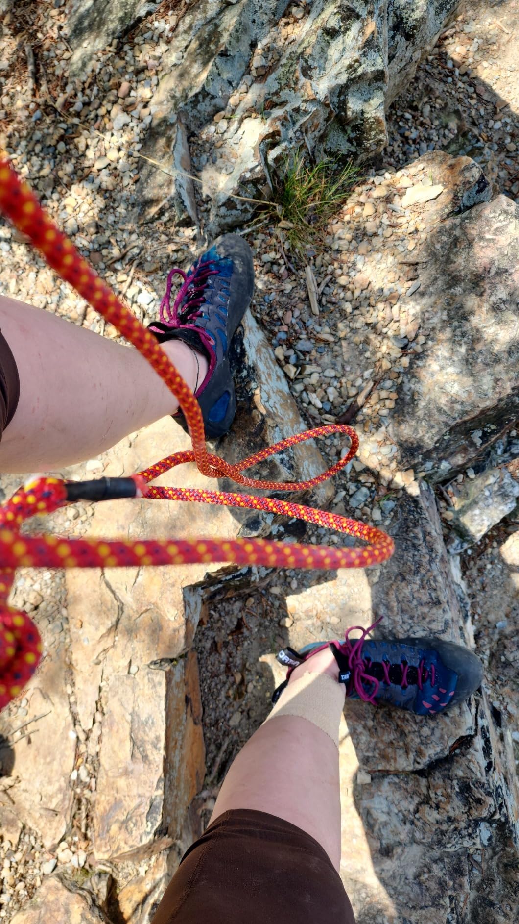 La Sportiva Womens Tarantulace Rock Climbing Shoes - Customer Photo 2