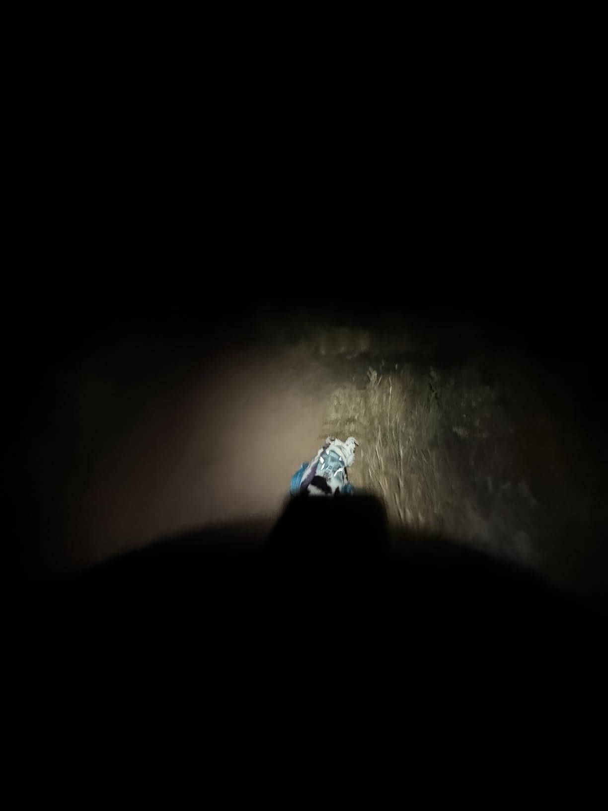 77outdoor LED Rechargeable Red Headlamp, H25LR / D25LR Powerful Lightweight Headlight with 90 High CRI Bright White Light and 660nm Deep Red Light, USB C Charging for Camping, Hiking, Hunting - Customer Photo 1