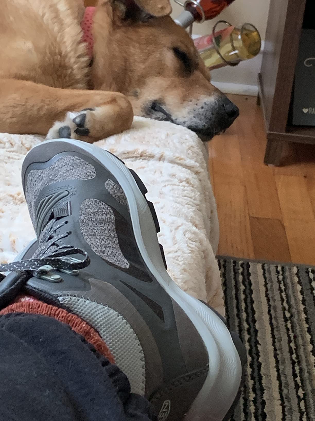 KEEN Women's Terradora Flex Mid Height Waterproof Hiking Boots - Customer Photo 3