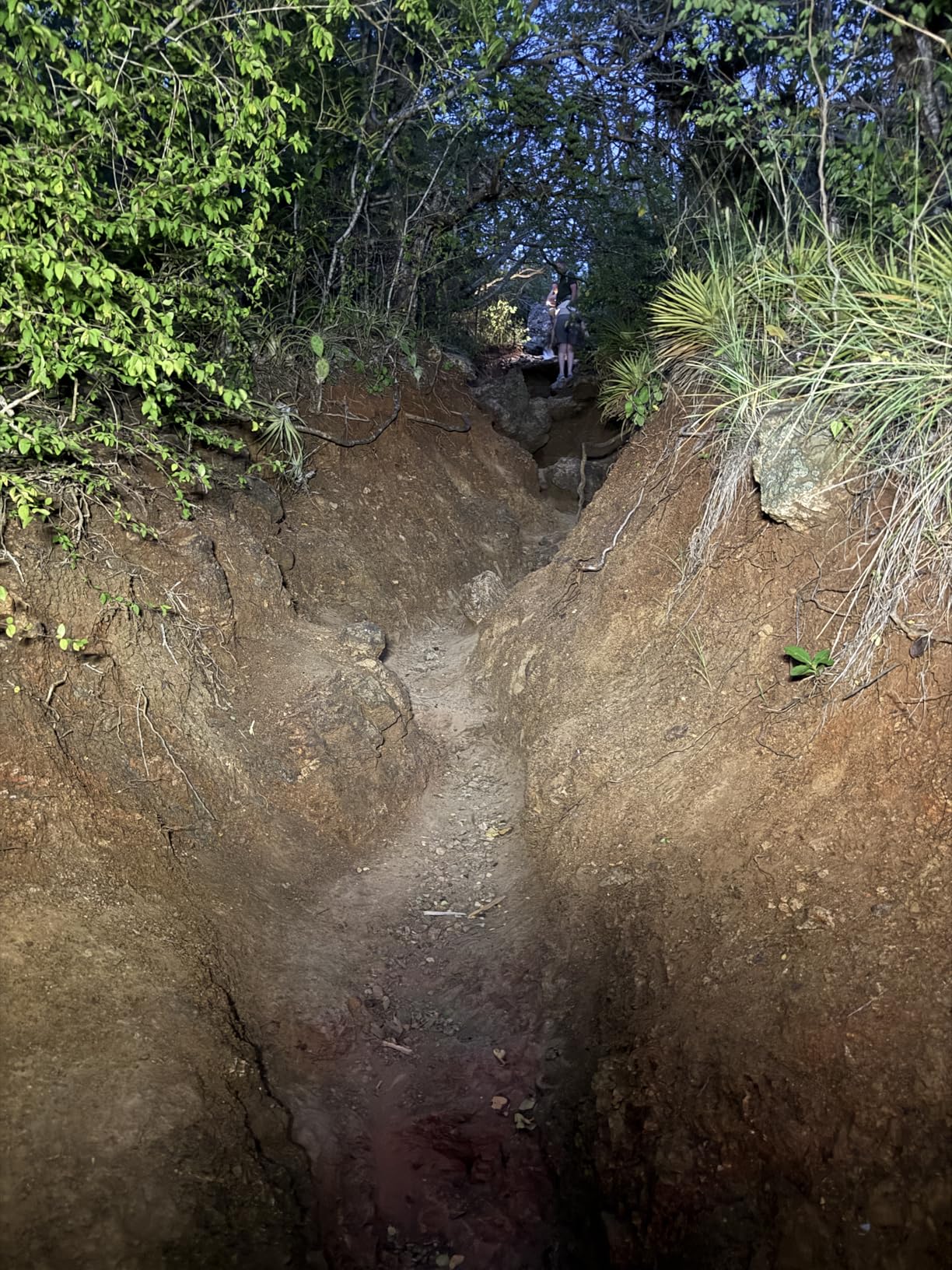 LED Headlamp Rechargeable, Super Bright 1500 Lumens 230° Wide Beam Headlamp, 3 Modes IPX6 Waterproof Lightweight Head Light with Taillight & Clips for Camping, Running,Fishing, Outdoors, Hard Hat Work - Customer Photo 1