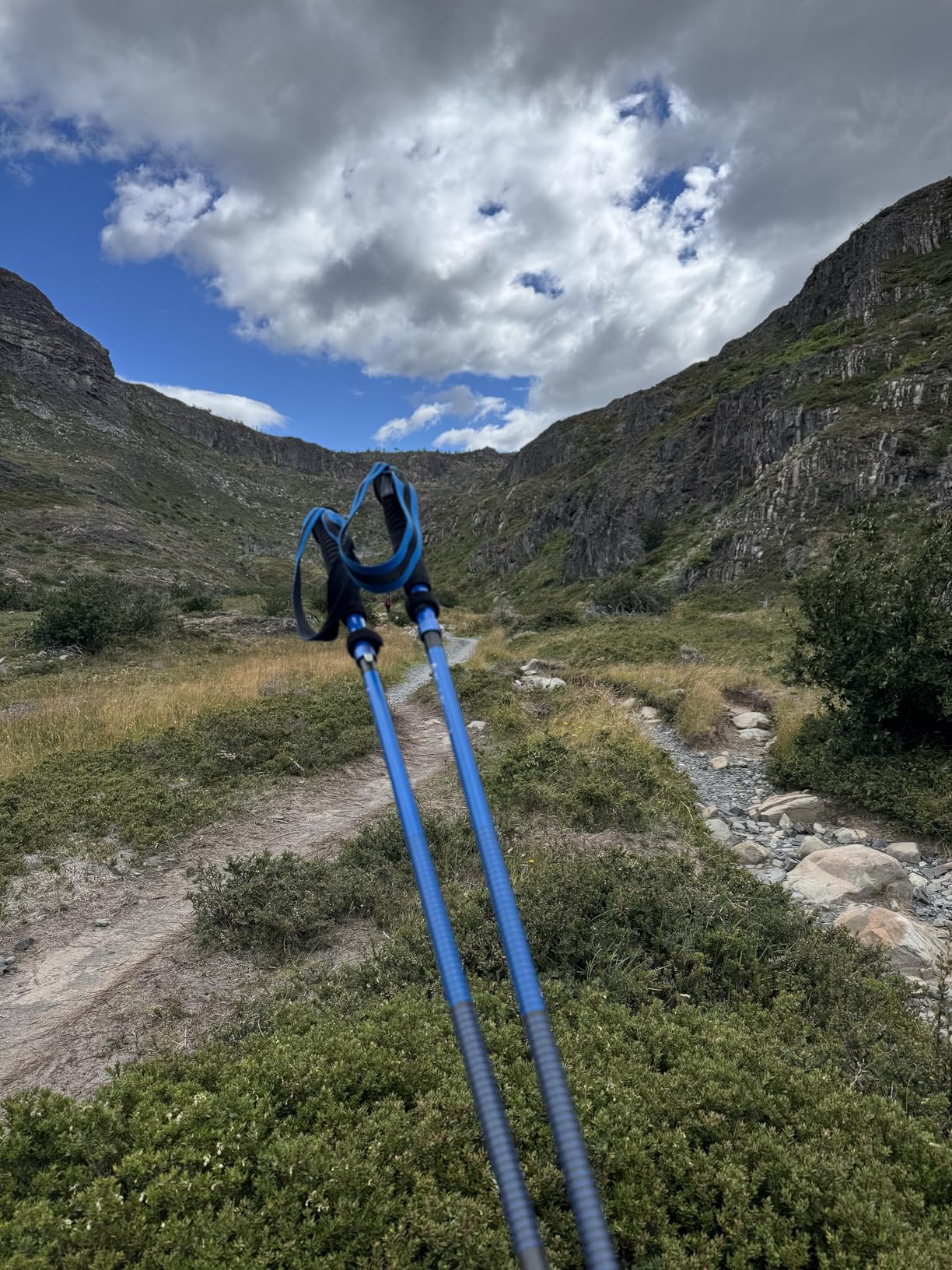 BLACK DIAMOND Distance Z Trekking Poles (Pair) | Ultralight | Foldable Z-Pole Design | Trail Running & Hiking Stability - Customer Photo 4