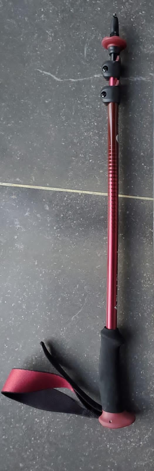 BLACK DIAMOND Trail Back Trekking Poles (Pair) | Durable Aluminum | FlickLock Adjustability | Comfortable Grips for Hiking & Backpacking - Customer Photo 1