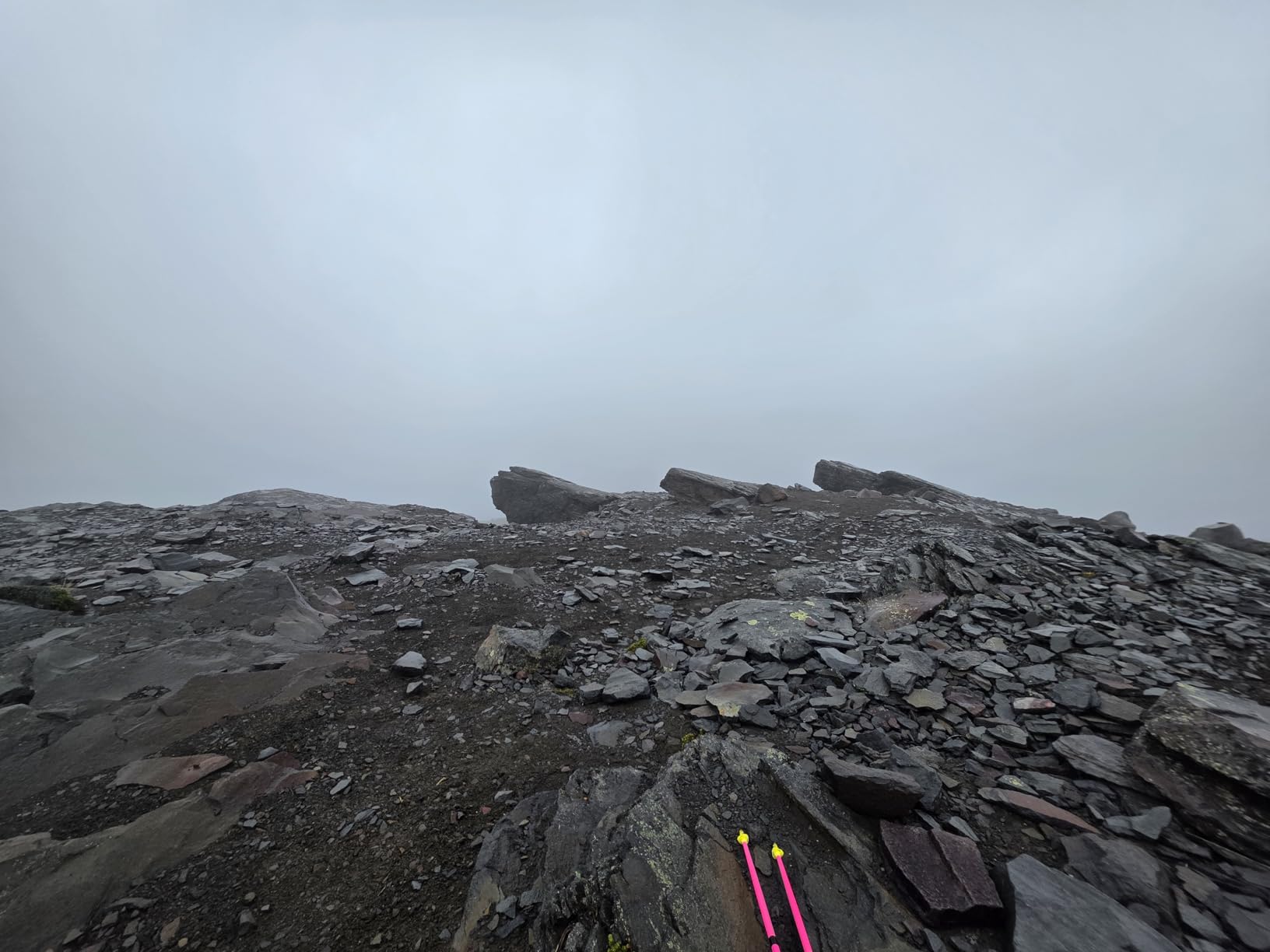 LEKI Ultratrail FX.One Trekking Poles - Carbon Foldable Ultralight Poles for Hiking & Trail Running - Customer Photo 1