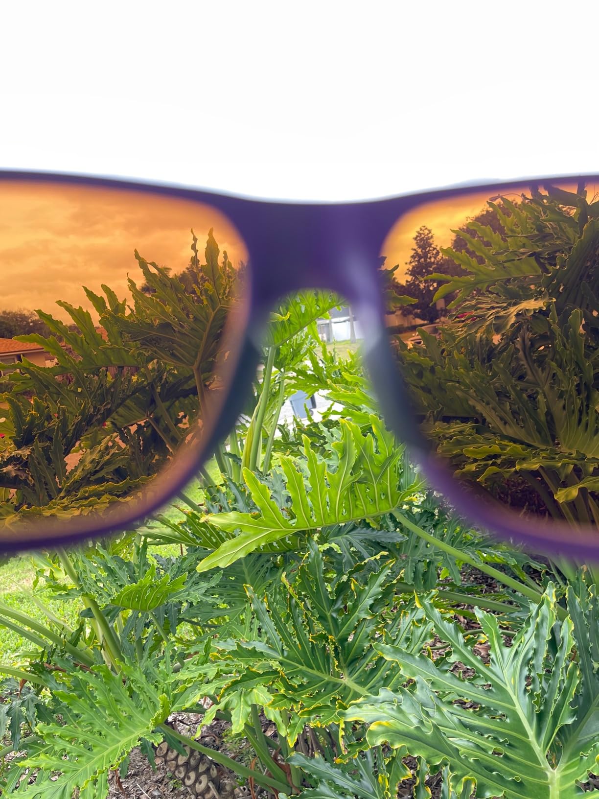 SMITH Embark Sunglasses with ChromaPop Lens Technology – Polarized Sports Sunglasses – Removable Side Shields – Men & Women - Customer Photo 1