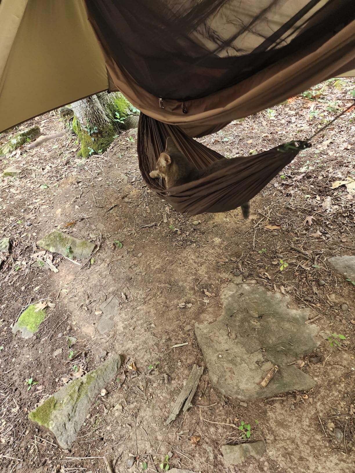 onewind Versatile Hammock Gear Sling or Backpack Rain Cover, Ultralight Waterproof Underbelly Gear Hammock Storage to Place Backpack, Clothes, Quilt, Food or 70L Packing Cover, Hammock Protector - Customer Photo 1