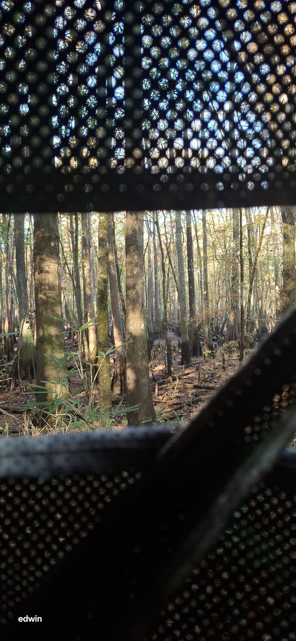 TIDEWE Hunting Blind 270°Full See Through with Windproof Curtain, Silent Magnetic Door & Sliding Windows, 2-3 Person Pop Up Ground Blind with Carrying Bag, 300D Portable Tent - Customer Photo 3