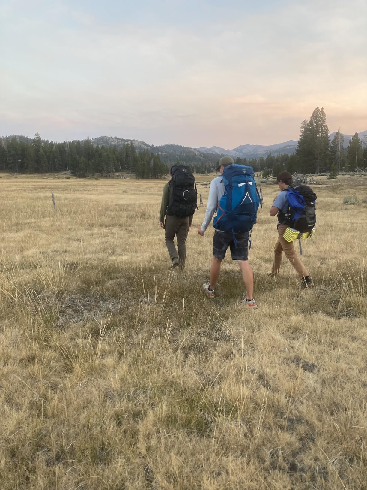 Osprey Atmos AG LT 65L Men's Backpacking Backpack, Black, L/XL - Customer Photo 1