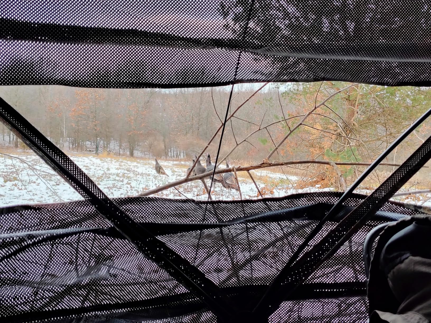 Hunting Blind 270/360 Degree See Through Ground Blind with Carrying Bag, 2/3/4 Person Pop Up Camouflage Tent Portable Concealed Shelter - Customer Photo 2