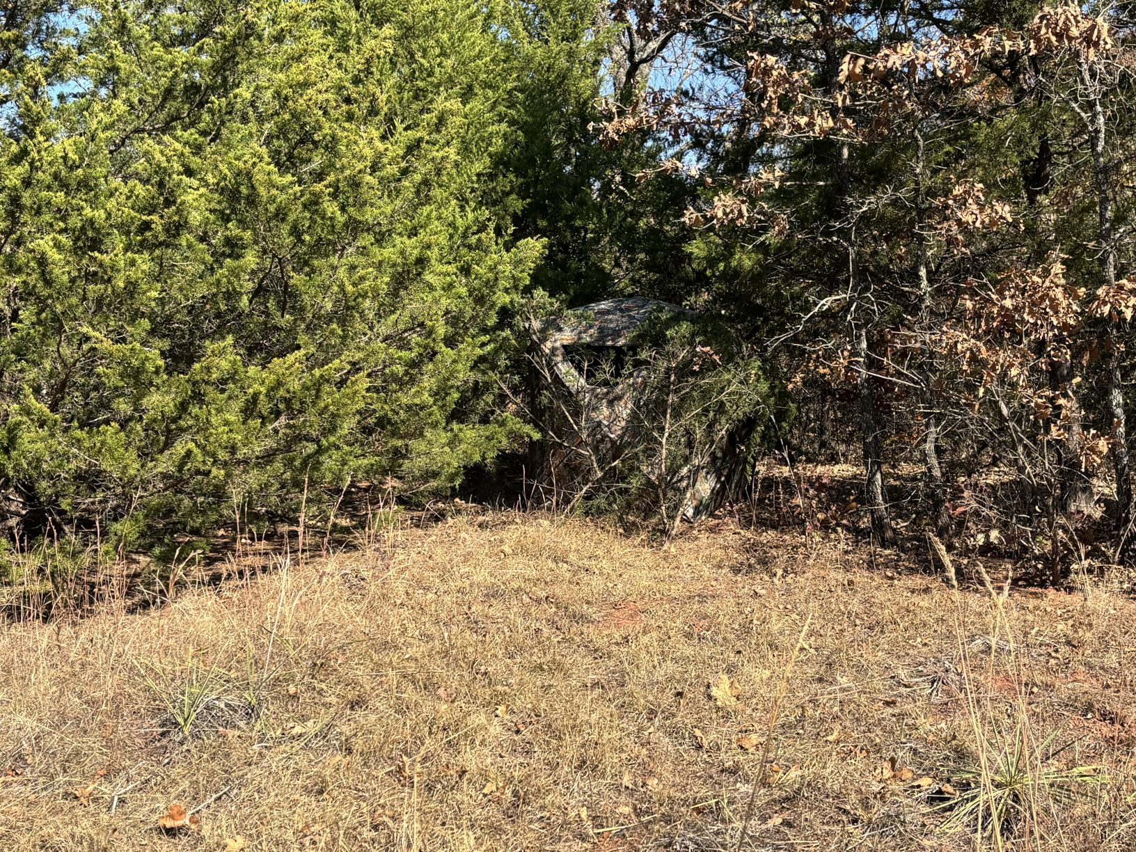 Hunting Blind, 2 Person Pop Up Blinds 360 Degree See Through, Portable Durable Hunting Ground Blinds for Deer & Turkey Hunting - Customer Photo 1