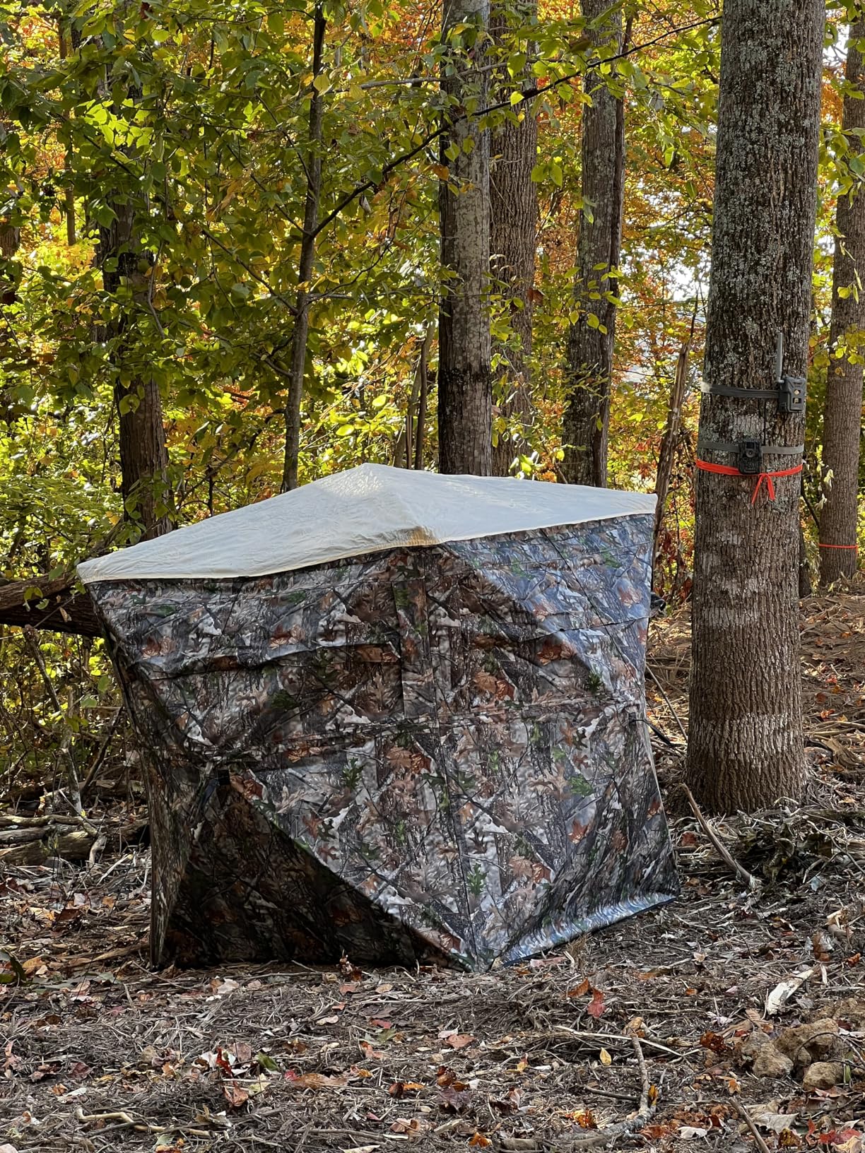 Hunting Blind, 2 Person Pop Up Blinds 360 Degree See Through, Portable Durable Hunting Ground Blinds for Deer & Turkey Hunting - Customer Photo 3