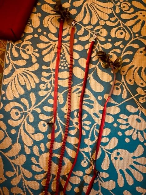 Ruffwear Roamer Bungee Dog Leash for Running, Biking or Hiking, Can be Used Hand-Held or Hands-Free, River Rock Green, 5.5'-7' - Customer Photo 1