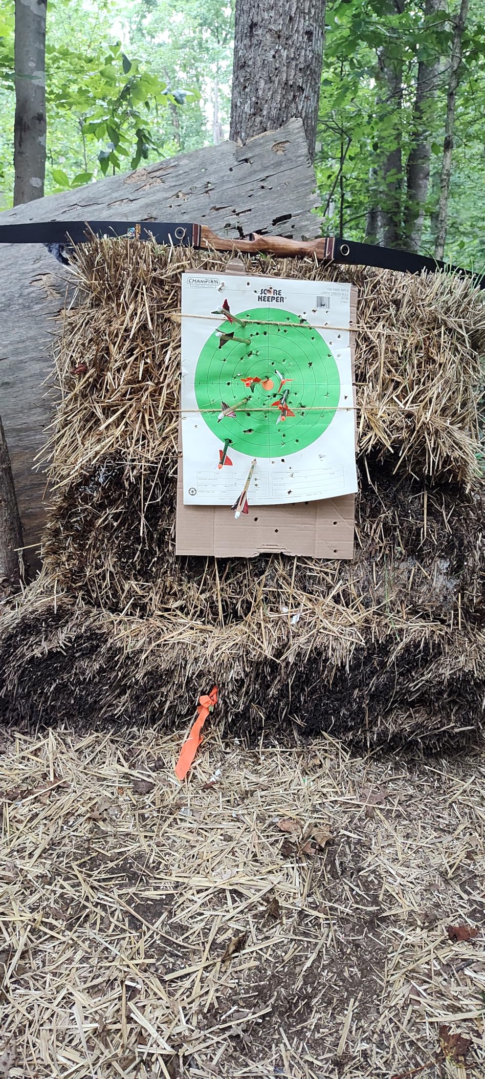 Sanlida Eagle X9 New 58