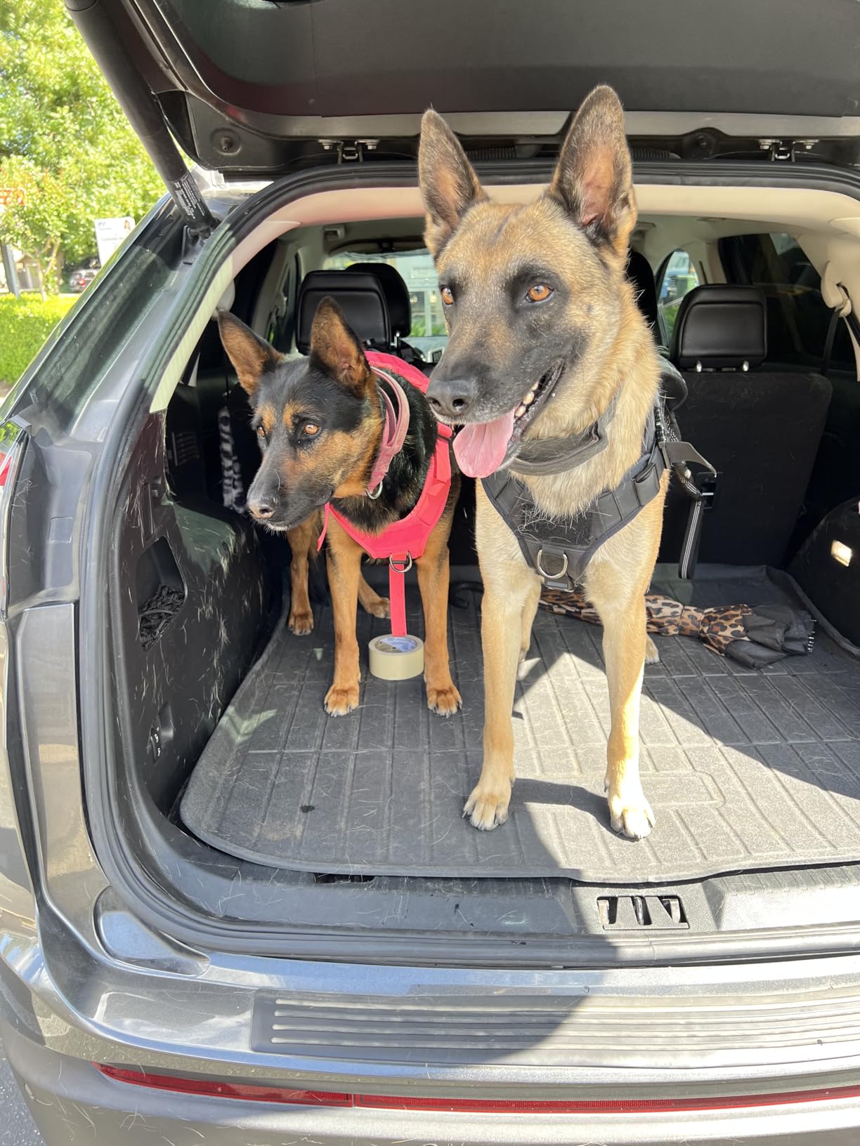 Heavy Duty Dog Leash with 2 Padded Handles & Advanced Easy Metal Clip, 4-6FT Shock Absorbing No Pull Dog Leashes for Medium Large Dogs That Pull (Army Green) - Customer Photo 2