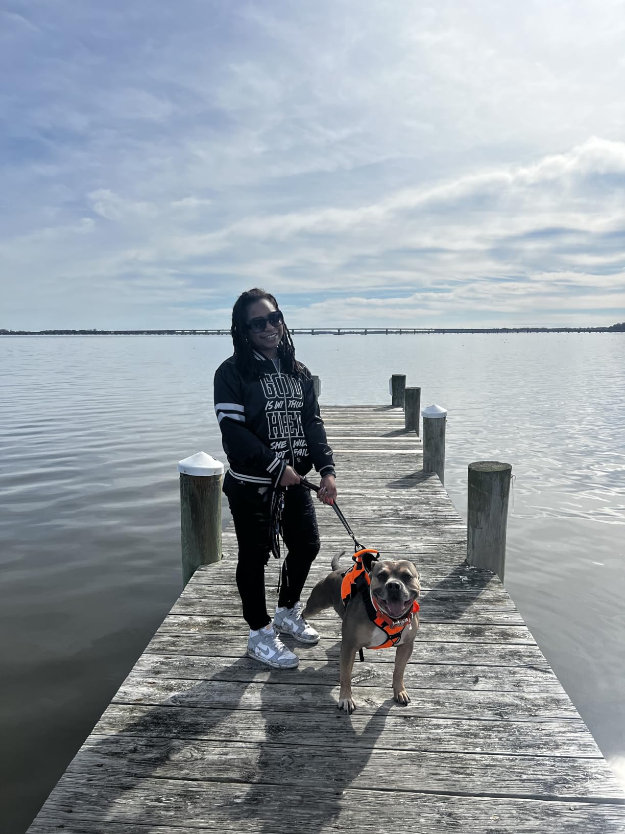 Heavy Duty Dog Leash with 2 Padded Handles & Advanced Easy Metal Clip, 4-6FT Shock Absorbing No Pull Dog Leashes for Medium Large Dogs That Pull (Army Green) - Customer Photo 5