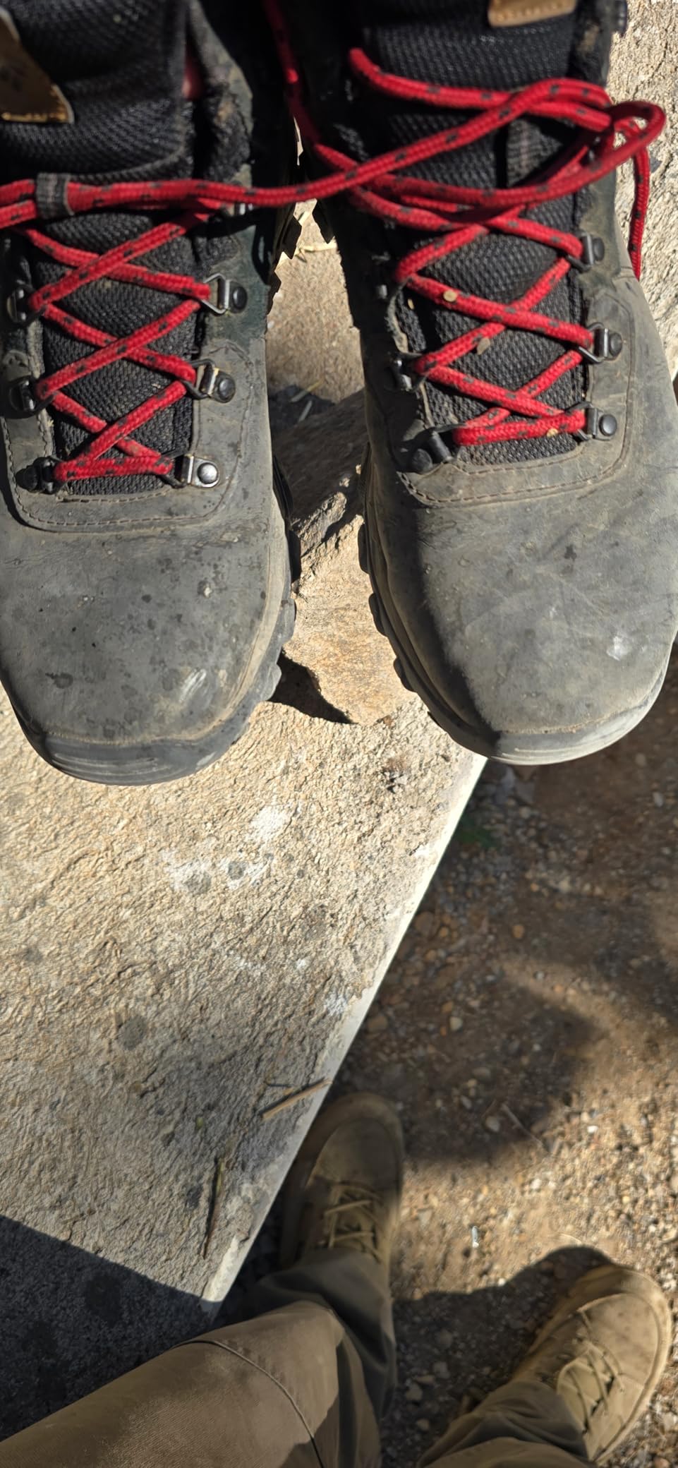 Columbia Men's Newton Ridge Plus II Waterproof Hiking Shoe - Customer Photo 1