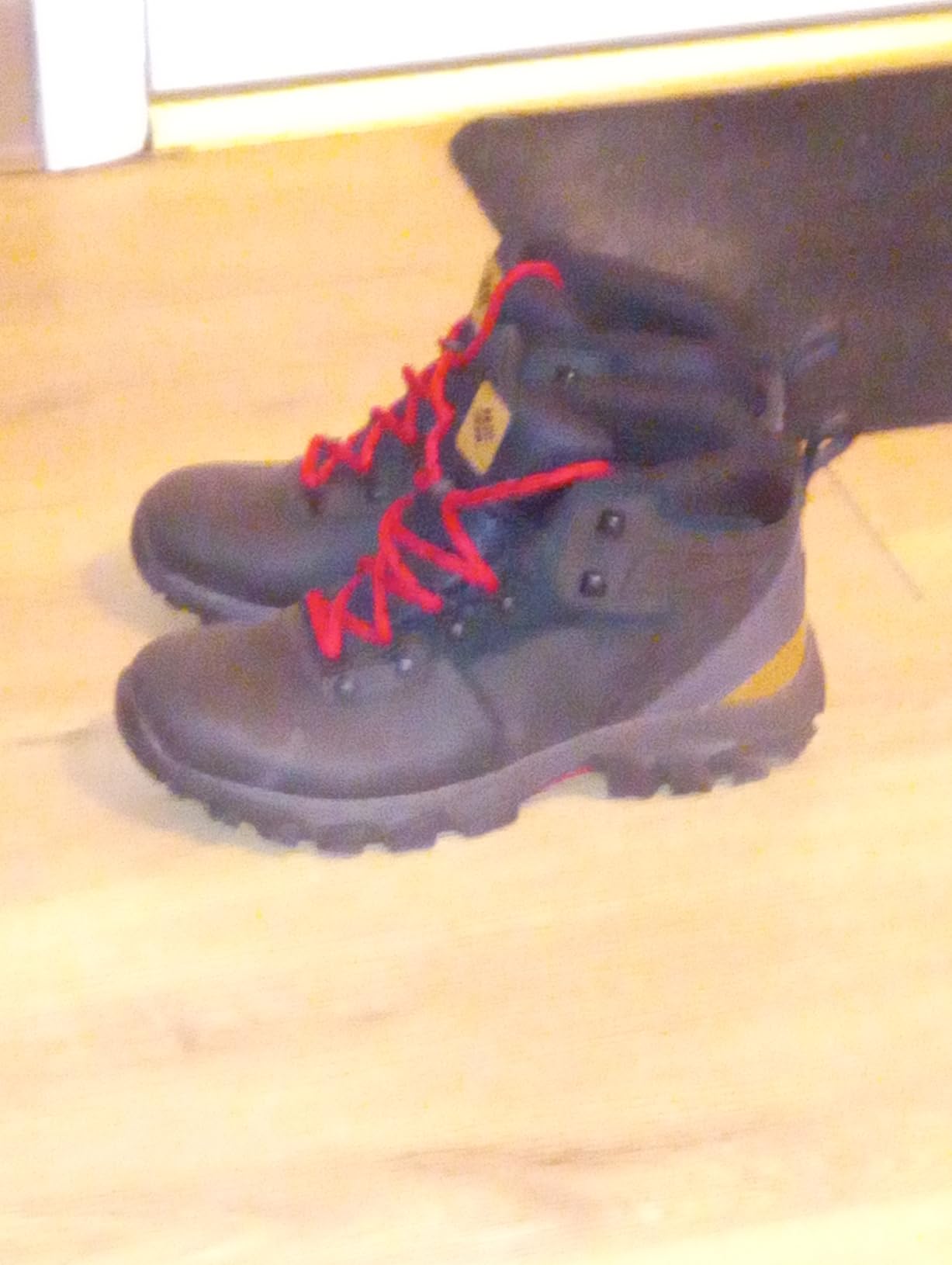 Columbia Men's Newton Ridge Plus Ii Waterproof Hiking Shoe - Customer Photo 4