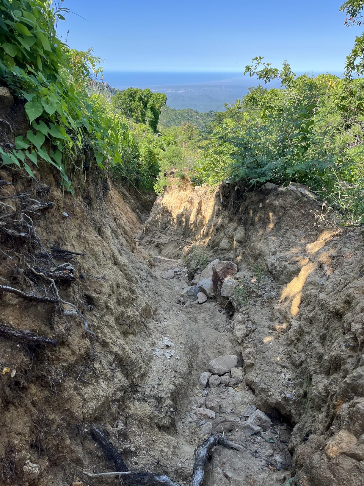 La Sportiva Men's Ultra Raptor II Mid Leather GTX Waterproof Hiking Boots - Customer Photo 1