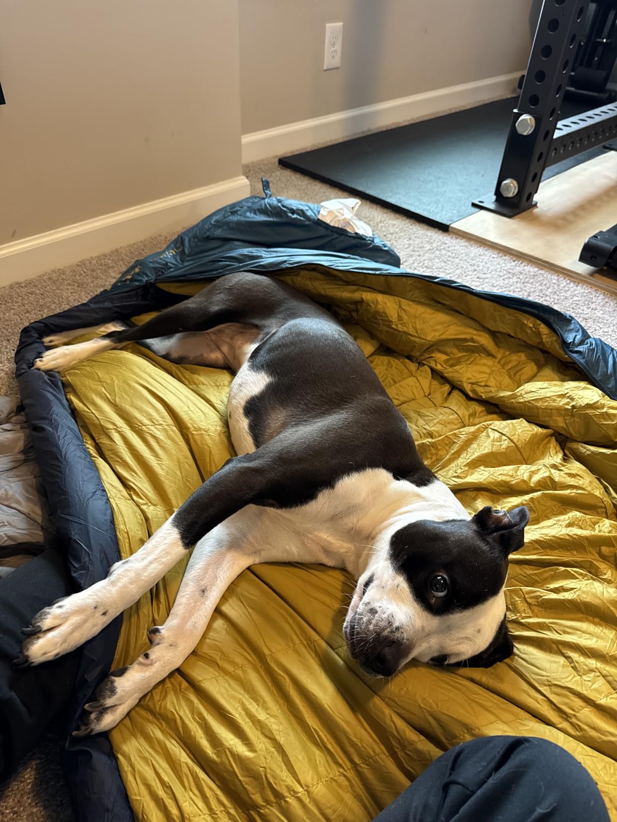 Kelty Cosmic 20 Down Mummy Sleeping Bag for Backpacking, Campers, 550 Fill Power, Recycled Fabrics with PFAS-Free DWR, Designed in Sunny Colorado - Customer Photo 2