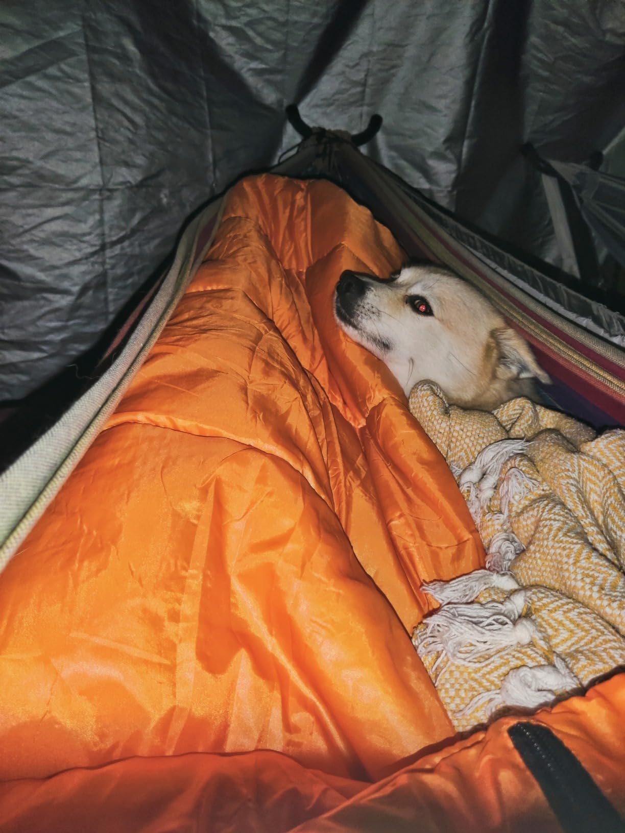 Sea to Summit Reactor Insulated Sleeping Bag Liner - Customer Photo 3