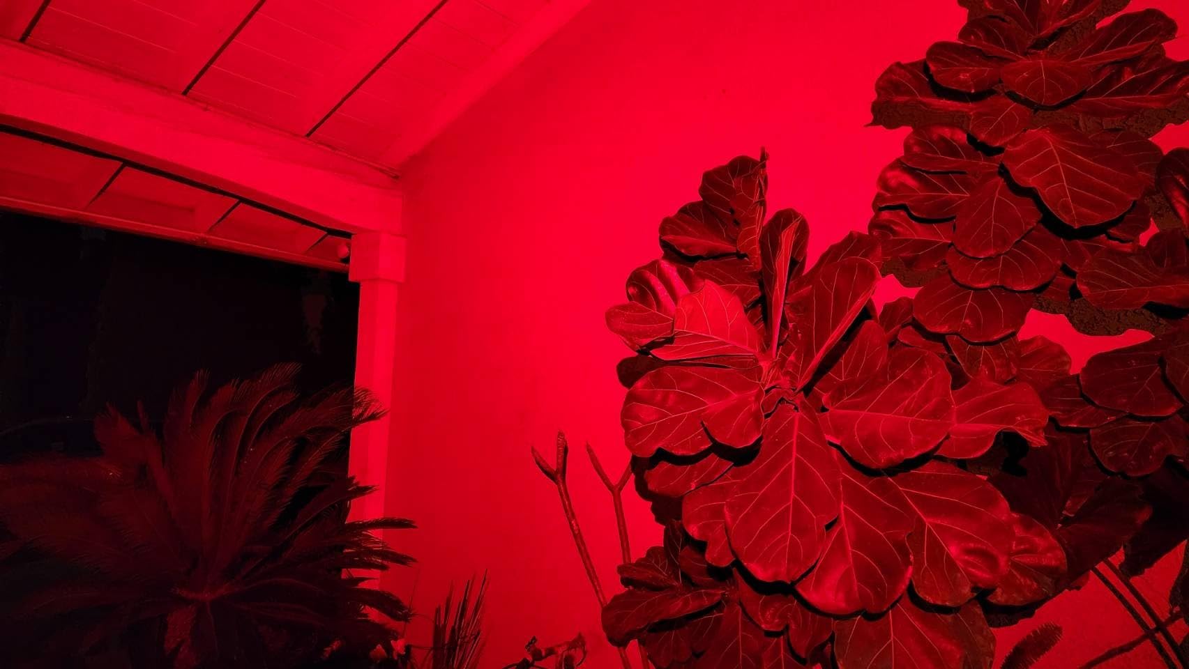 Fenix HM75R 1600 Lumen USB-C Rechargeable Headlamp, Battery Extender Pack Included for Extra Long Runtime, White and Red Beams, for Site Operation, Search and Rescue, Caving, Hiking - Customer Photo 1