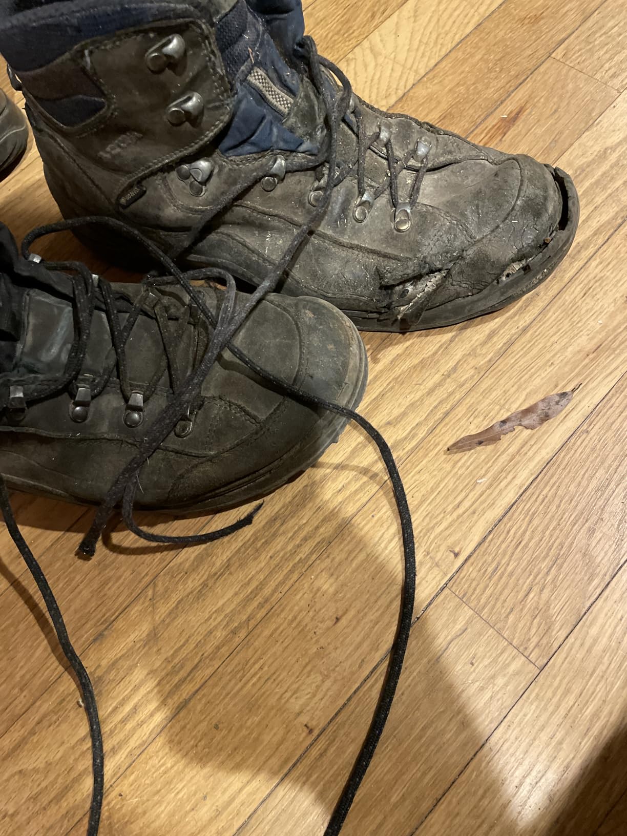 LOWA mens Renegade Evo Gtx Mid - Customer Photo 1