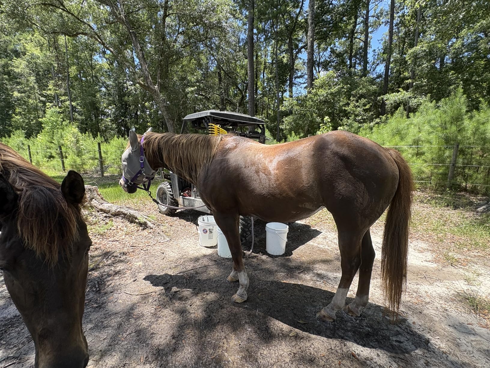 Portable Shower for Camping, [Long-Lasting] Spopal 6000mAh Rechargeable Camping Shower with Intelligent LED Display, 4 Spray Modes, IPX7 Waterproof Outdoor Camp Pump for Hiking, Travel, Car, Pet - Customer Photo 4