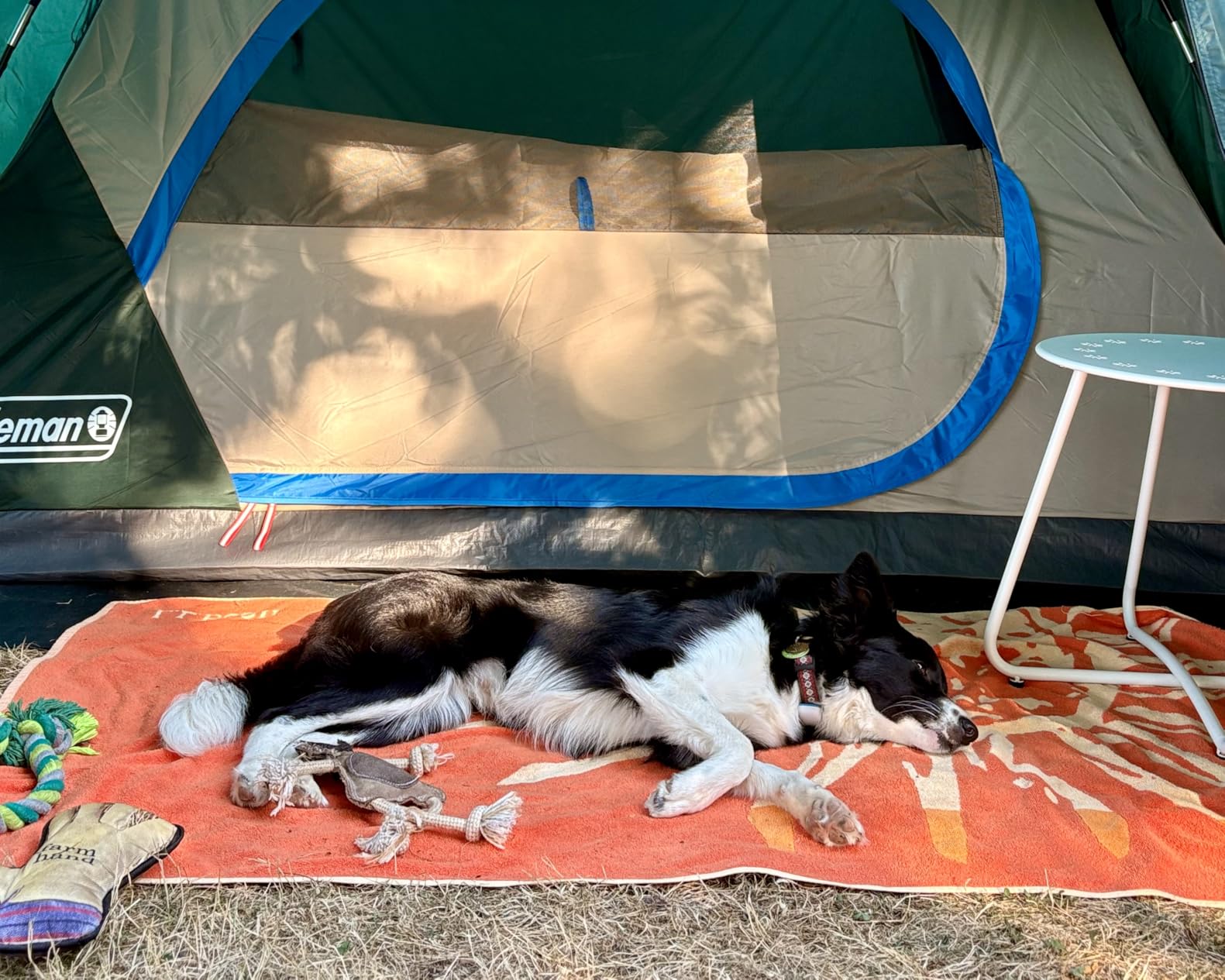Coleman Skydome Tent with Full-Fly Weather Vestibule, Weatherproof 4/6 Person Tent Sets Up in 5 Minutes & Protects from Water, 20% More Headroom Than Traditional Shelters - Customer Photo 5
