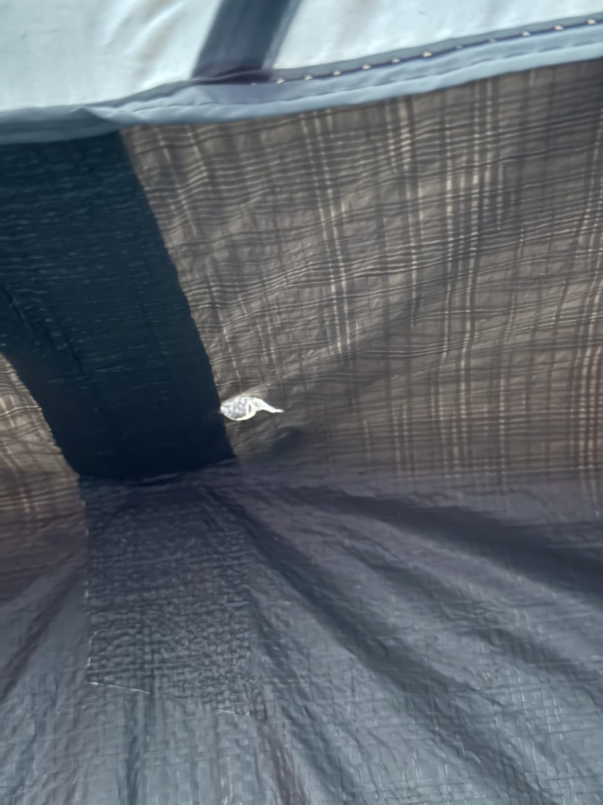 Coleman Skydome XL Large Family Tent with 5 Minute Setup - Customer Photo 2