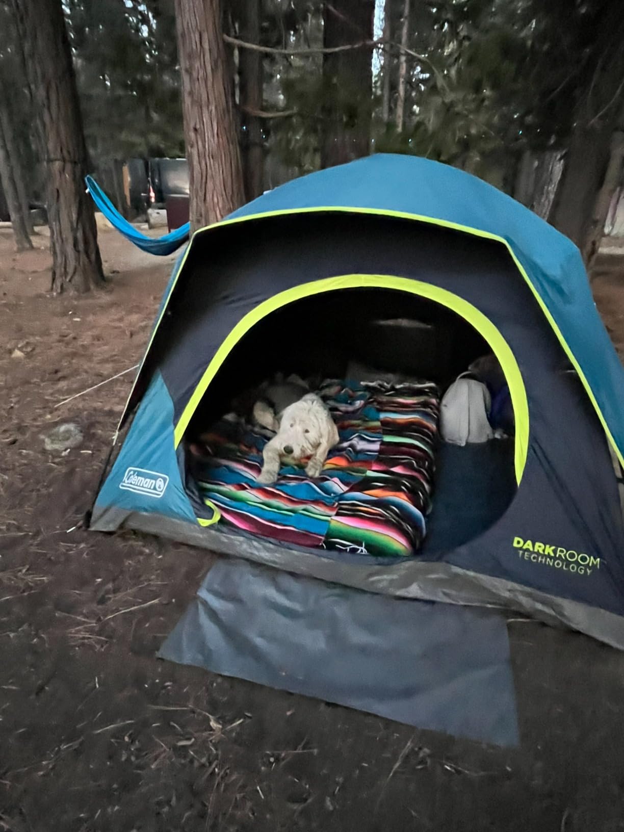 Coleman Skydome Dark Room 4/6/8/10 Person Tent with Rainfly, 5 Minute Setup, Blocks 90% of Sunlight, 20% More Headroom Than Traditional Tents - Customer Photo 1