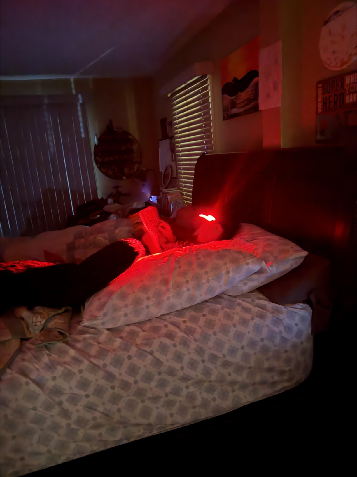 EverBrite Rechargeable Headlamp - 350 Lumens Head Lamp for Adults, 7 Modes with White/Red/Green Light, 30°Adjustable LED Headlight for Camping, Running, Hunting, and Hiking - Customer Photo 2