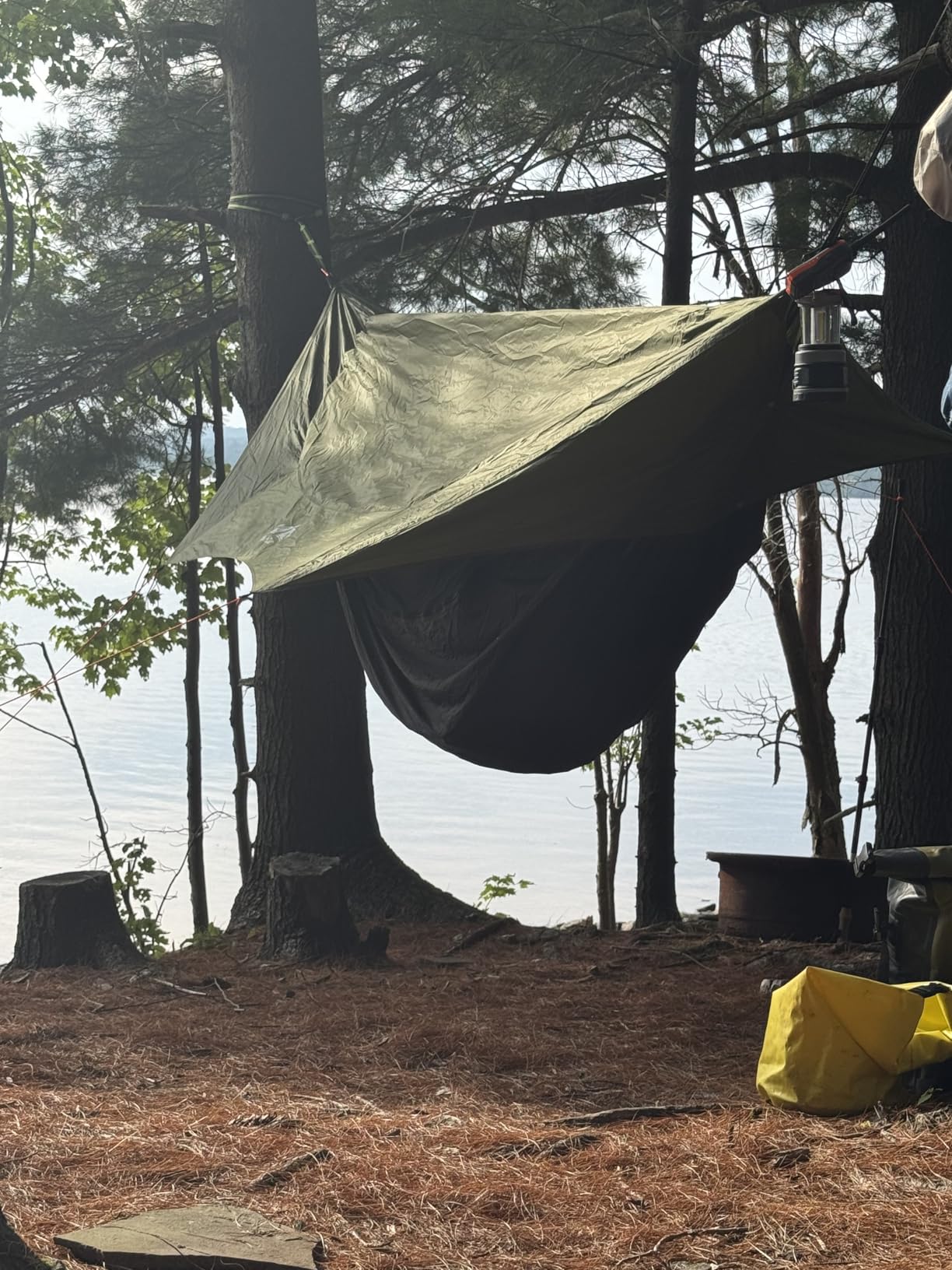 Night Cat Camping Hammock Tent: Lightweight Portable 4 in 1 Hammock with Rain Tarp and Mosquito Net for Hiking Jungle Outdoor - Customer Photo 1