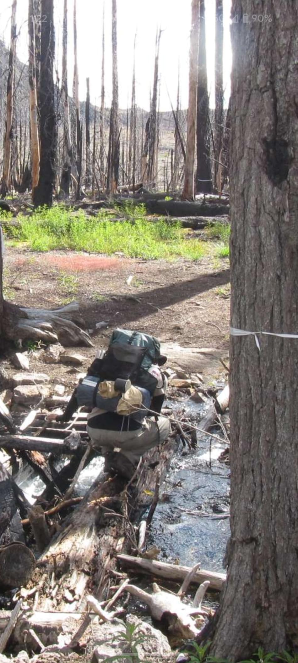 Hiking Backpack,40L to 50L Extra Large Capacity Hiking Bag,Internal Frame Camping Backpack,Upgraded X-PAC Lightweight Sport Daypack Travel Backpack Fit For Mountain Climbing Camping(Grey Green) - Customer Photo 1