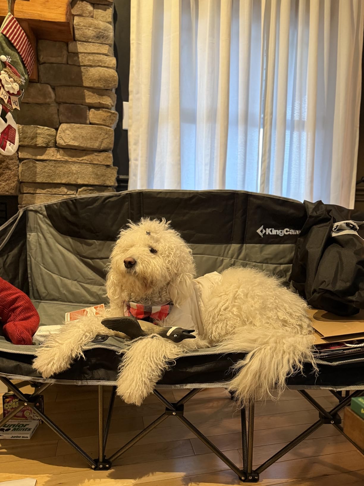 KingCamp Double Camping Chair, Oversized 660lbs Heavy Duty Loveseat for Adults Portable Folding XL 2 Person Couch Padded Comfortable Two Seat with Cup Holder for Outdoor Lawn Backyard, Black/Grey - Customer Photo 1