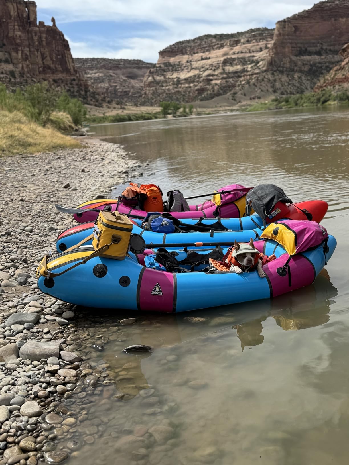 MODL Infinity Tool 2.0 Modular Straps (4-Pack) - Flexible Multi-Tool, Gear Strap - Customer Photo 2