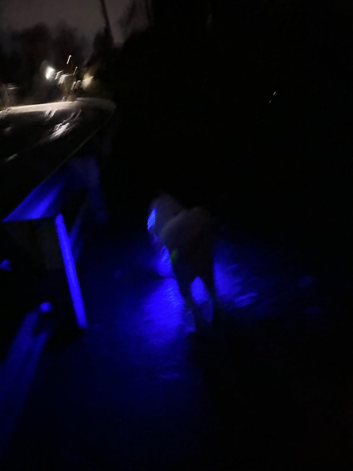 PETZL Tikka Headlamp - Compact 350 Lumen Light with Red Lighting, for Hiking, Climbing, Running, and Camping - Customer Photo 1