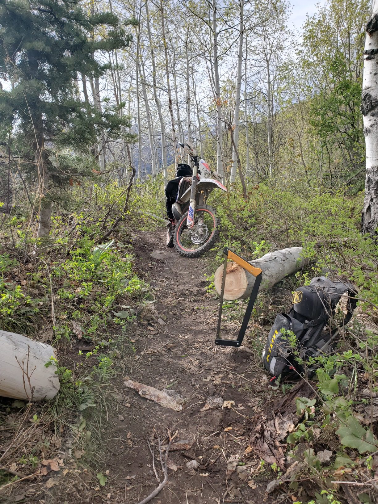 AGAWA ADK26 - Transforming Hatchet & Camping Axe - 2-in-1 Carbon Steel Log Splitter - Camping Gear for Hiking, Fishing, Hunting, Bushcraft, Survival Kit & Bug Out Bag - Customer Photo 3